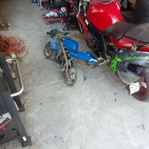 Meet your Posher, Brandon